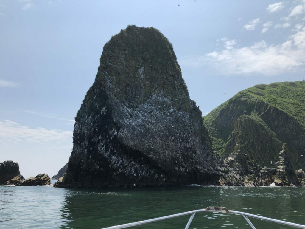морские экскурсии