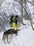 Камчатка Freeride Ski Tour